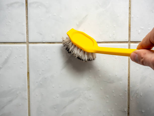 Best Mold Removal Company Near Me  in Diaz, AR
