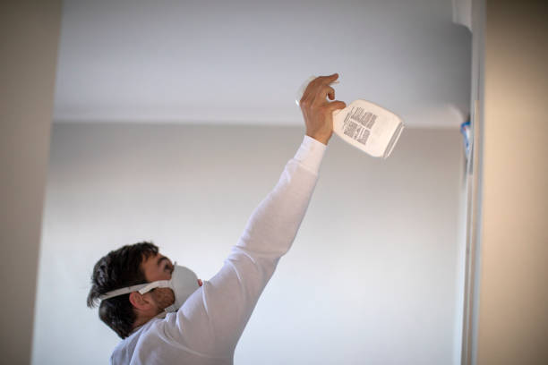 Best Commercial Mold Removal  in Diaz, AR