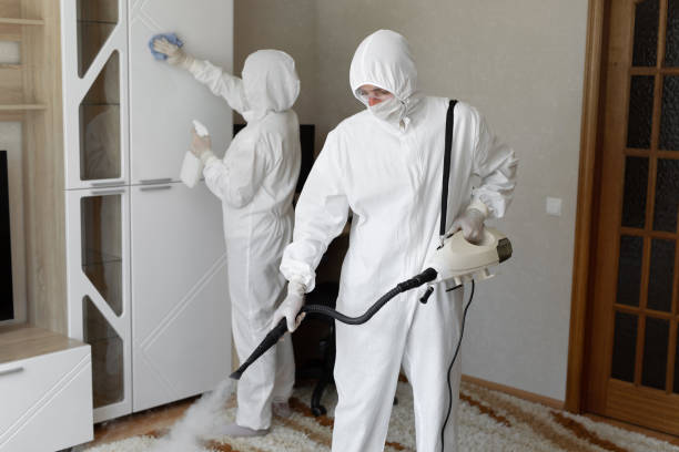 Certified Mold Removal in Diaz, AR